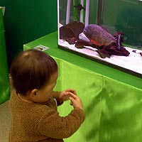 �w���m�F��