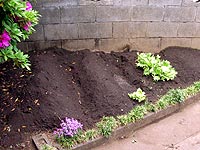 �펪������