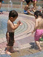 Canon�̃R���r