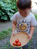 �g�}�g�̎��n