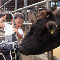 �A�b�v�̋������