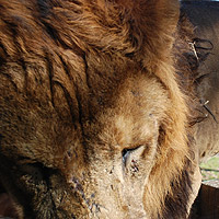 �����������ɂ�