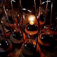 ������̑��