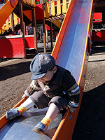 �����X�Ɖَq