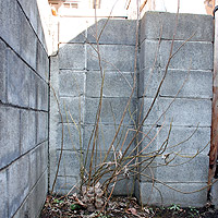 �Ђ��Ђ��̞�