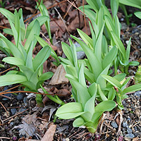 ���u�J���]�E