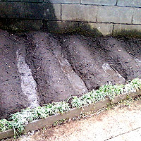 ��̏����Ȕ�