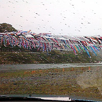 �ԓ����璭�߂��̂ڂ�