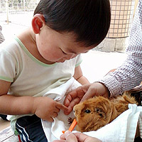 ���͌����a�����̃������b�g