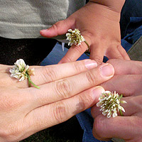 �N���[�o�[�̃����O