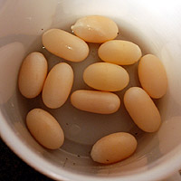 �}���R�̗�