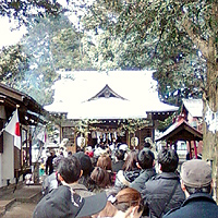 ���{�_����_�{