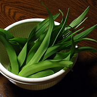 ���u�J���]�E