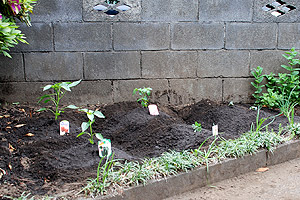 ���u�J���]�E