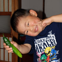 ���n�ł����L���E���P��