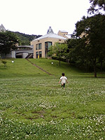 �V���c���N�T�̍炭��O�X�y�[�X