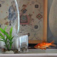 ���Ղƌ����΁c