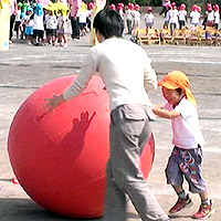 �e�q���Z�̑�ʓ]����