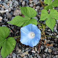 ��̋G�ߊO��̒���