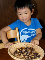 ��R�E���W�߂Ă��܂���