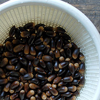 �E�����h���O��