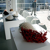 �o�X�P�^���[�̓W��