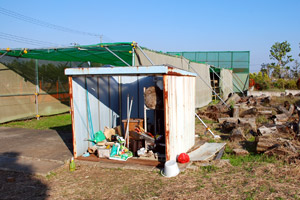 �Ԃ��Ȃ��X�n�ɂ����|����