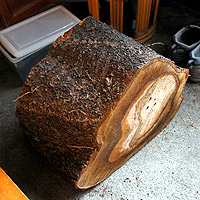 ������Ă����؂̗֐؂�