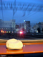 ���c�}���}���X�J�[�̓W�]��