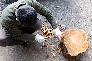 �؂芔�̔�ނ�