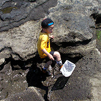 �Ԃ������Ĉ�V��