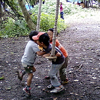 ����ł���ԏ������u�����R