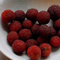 �̂ꂽ�̂͂��ꂾ��