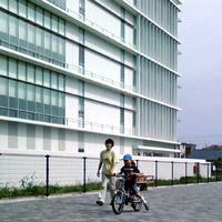 �⏕�Ȃ����K��