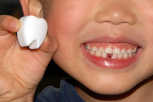 ���������͎��`�̃P�[�X�̒�