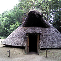 �����猩��Ƌ���ȃn���l�Y�~���ۂ������G�����Z��