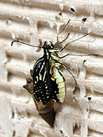 �H������