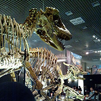 �勰���W�I