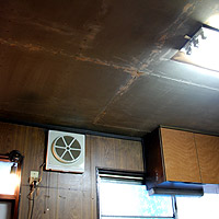 �y���L���|���|���Ɣ����锍����