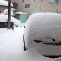 ���܂���Ɖ�������̎�