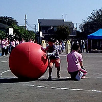 ���������Z ��ʓ]����