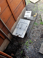 �P�O���O�Ɏd�|����㩁B�a�̓o�i�i�B